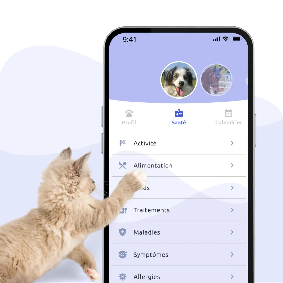 Écran santé de l'application MyPets Partner : activité, alimentation, poids, traitements
